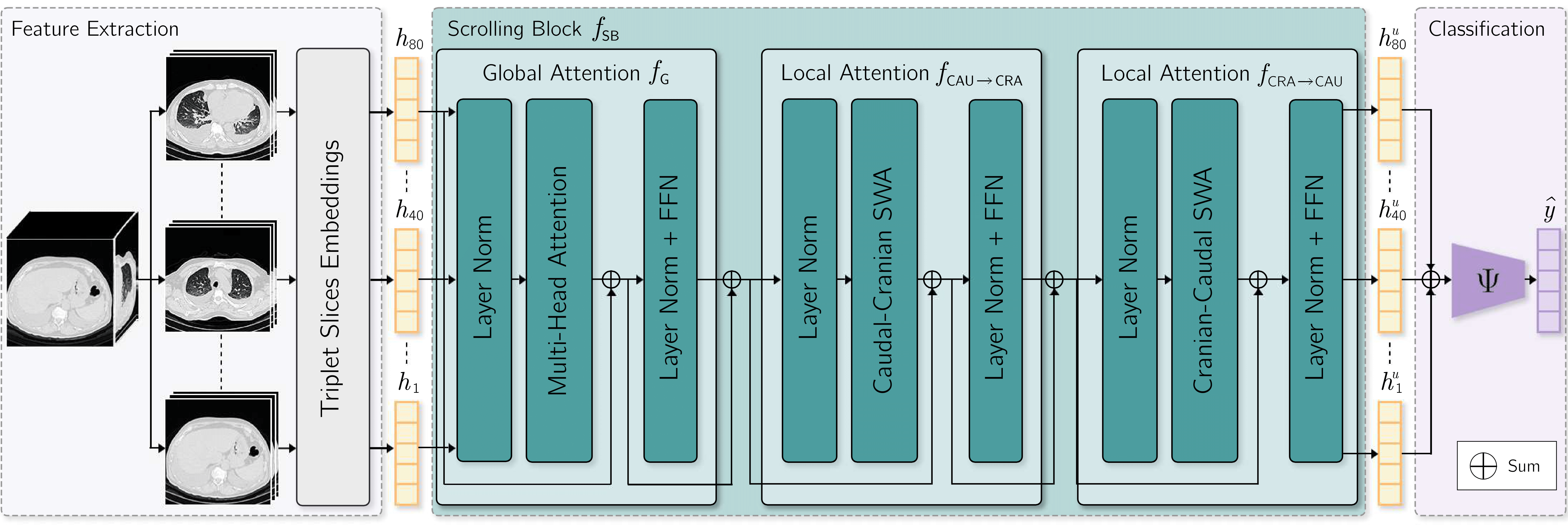 Imitating Radiological Scrolling: A Global-Local Attention Model for 3D Chest CT Volumes Multi-Label Anomaly Classification